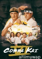 Cobra Kai (2025) Season 6 Part 3 Hindi Dubbed Series