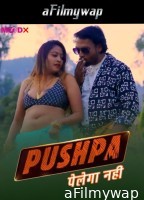 Pushpa Pelega Nahi (2025) MoodX Hindi Hot Web Series